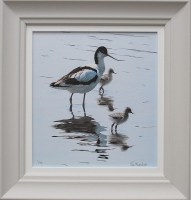 clive-meredith---avocet