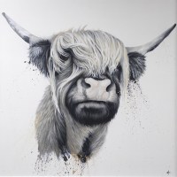 dean-martin-highland-cow