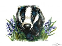 lucy-cortese-badger